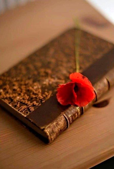 اچھی چیزوں سے متاثر ہونا فطری بات ہے

 لیکن ۔۔۔۔۔ 

بغیر سوچے سمجھے ہر چیز سے متاثر ہوجانا

 کم فکری اور کم علمی کی علامت ہے🥀