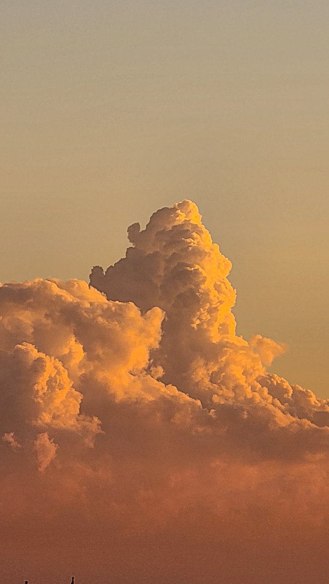 شروق اليوم #طرابلس