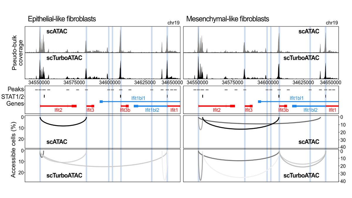 Enjoying the work with @IsabelleSeufert and @jpmallm1 to increase the coverage of scATAC-seq for co-accessibility analysis and other applications frontiersin.org/articles/10.33…. Our latest data are at 150k unique fragments/cell. Stay tuned...