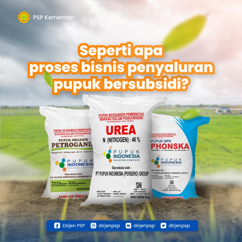 dirjenpsp's tweet photo. Sobat AJ, saat ini pemerintah telah meluncurkan i-Pubers, sebuah program untuk memudahkan petani menerima pupuk bersubsidi di daerah masing-masing. Serta digitalisasi melalui aplikasi untuk mempermudah pengawasan pendistribusian pupuk bersubsidi.

#programkementan #pspkementan https://t.co/gR1xjPTGnH