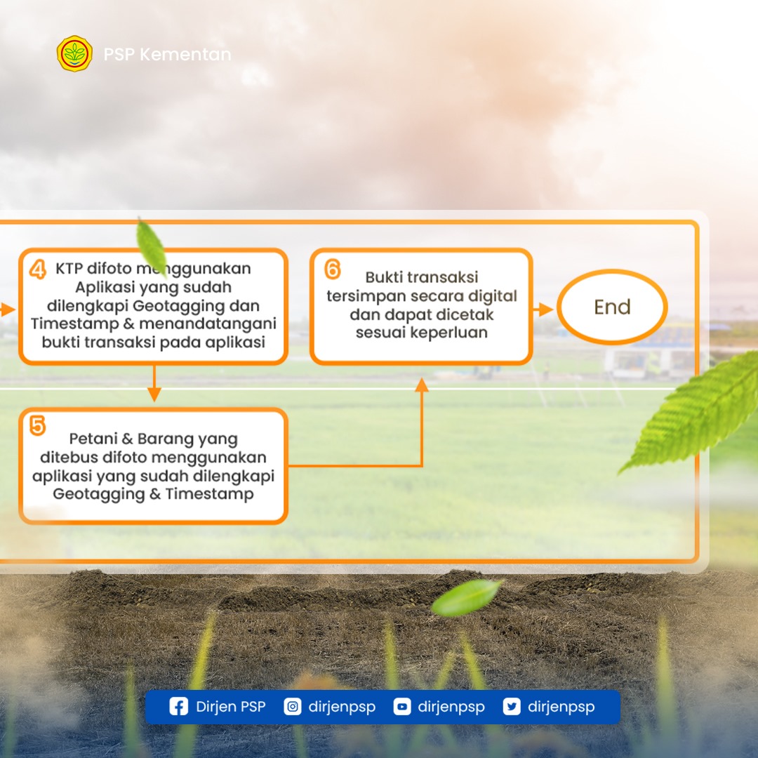 dirjenpsp's tweet photo. Sobat AJ, saat ini pemerintah telah meluncurkan i-Pubers, sebuah program untuk memudahkan petani menerima pupuk bersubsidi di daerah masing-masing. Serta digitalisasi melalui aplikasi untuk mempermudah pengawasan pendistribusian pupuk bersubsidi.

#programkementan #pspkementan https://t.co/gR1xjPTGnH