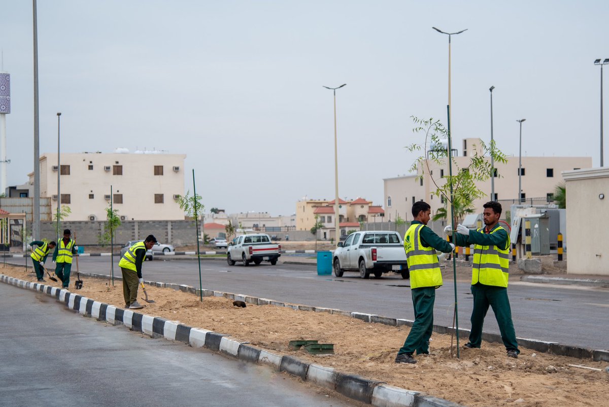 Khobar_mun's tweet photo. #بلدية_الخبر  تواصل أعمال التشجير بحي الشراع ضمن مبادرة #الشراع_الأخضر للارتقاء بجودة الحياة فيه🏡 https://t.co/E7Fz8eaACb