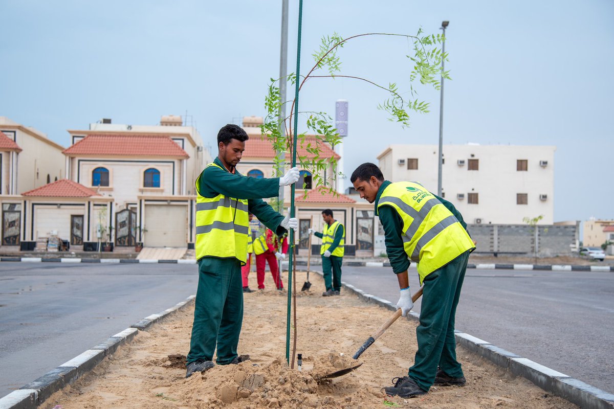 Khobar_mun's tweet photo. #بلدية_الخبر  تواصل أعمال التشجير بحي الشراع ضمن مبادرة #الشراع_الأخضر للارتقاء بجودة الحياة فيه🏡 https://t.co/E7Fz8eaACb