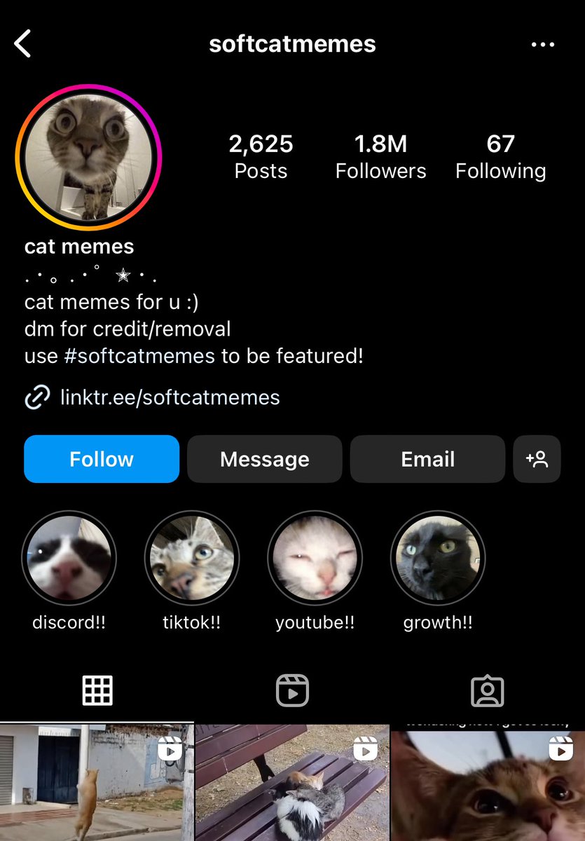 threadyskate's tweet image. why this instagram page with 1.8m followers have dream’s cat as it’s profile picture 😭