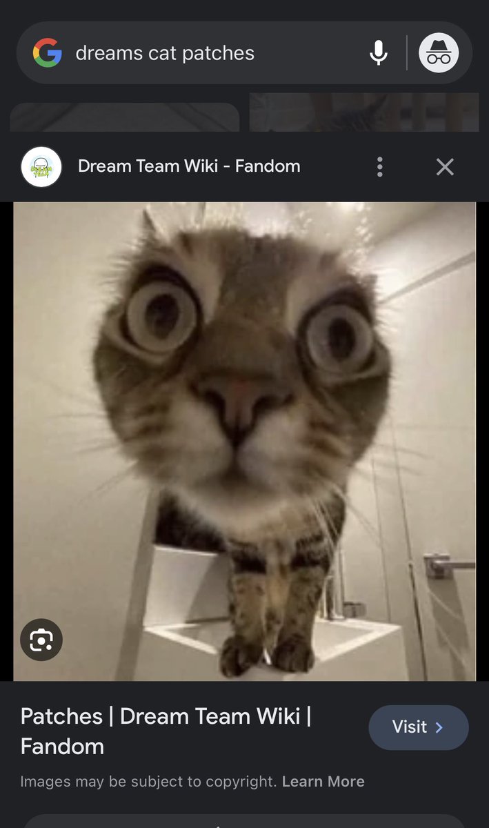 threadyskate's tweet image. why this instagram page with 1.8m followers have dream’s cat as it’s profile picture 😭