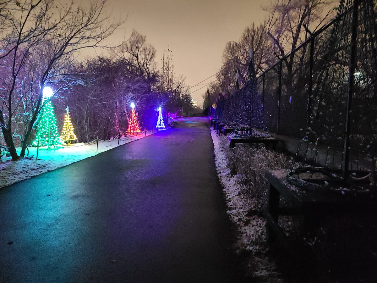 My favourite display <a href="/zoolights/">Zoo Lights</a> ..the lights dance in time to the music! #yycevents .<a href="/calgaryzoo/">Calgary Zoo</a>