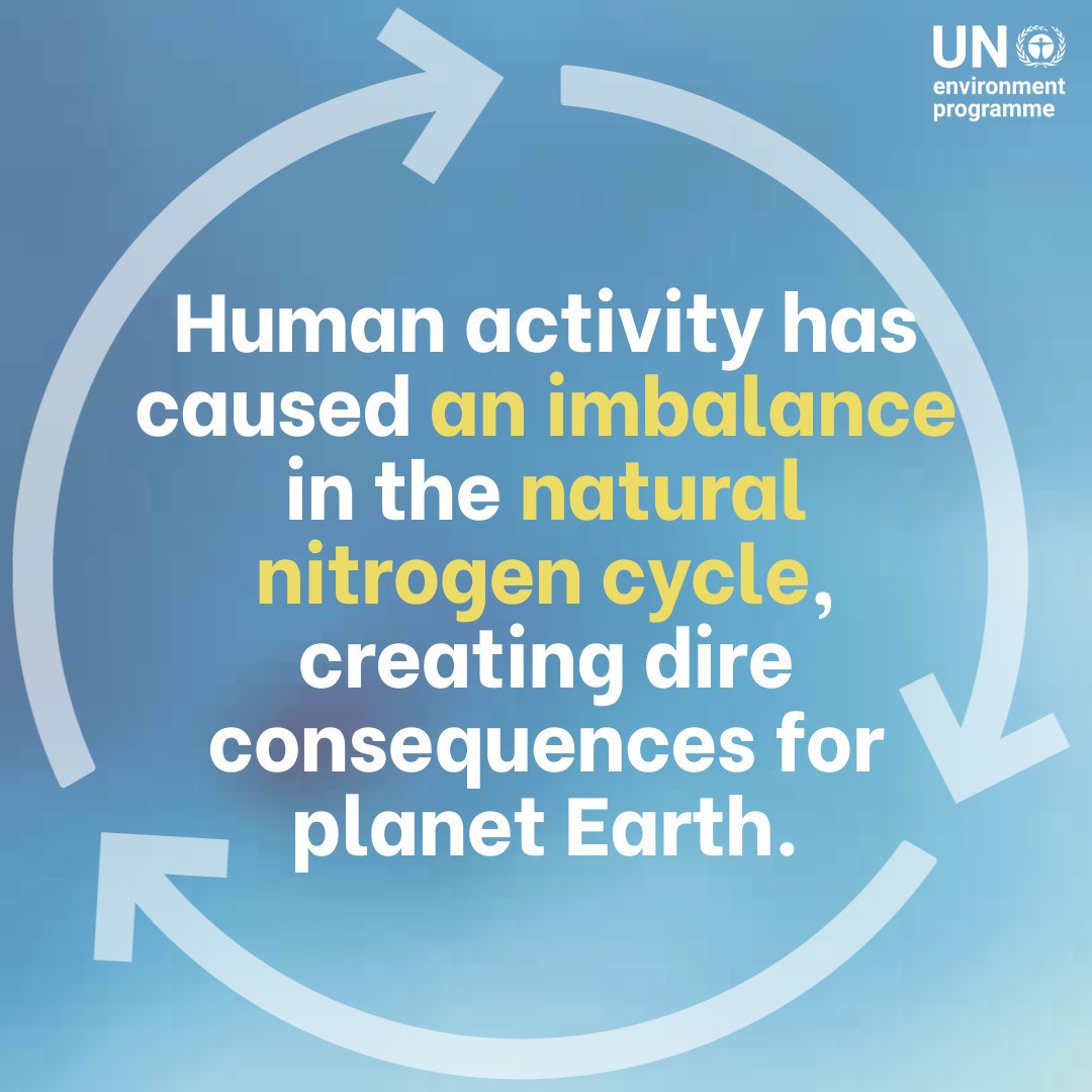 About 80% of the 200 million tonnes of reactive nitrogen is lost to the environment annually, benefiting nitrogen-tolerant species at the expense of more sensitive ones.

Critical action is needed to #BeatNitrogenPollution and safeguard our biodiversity: unep.org/interactives/b…