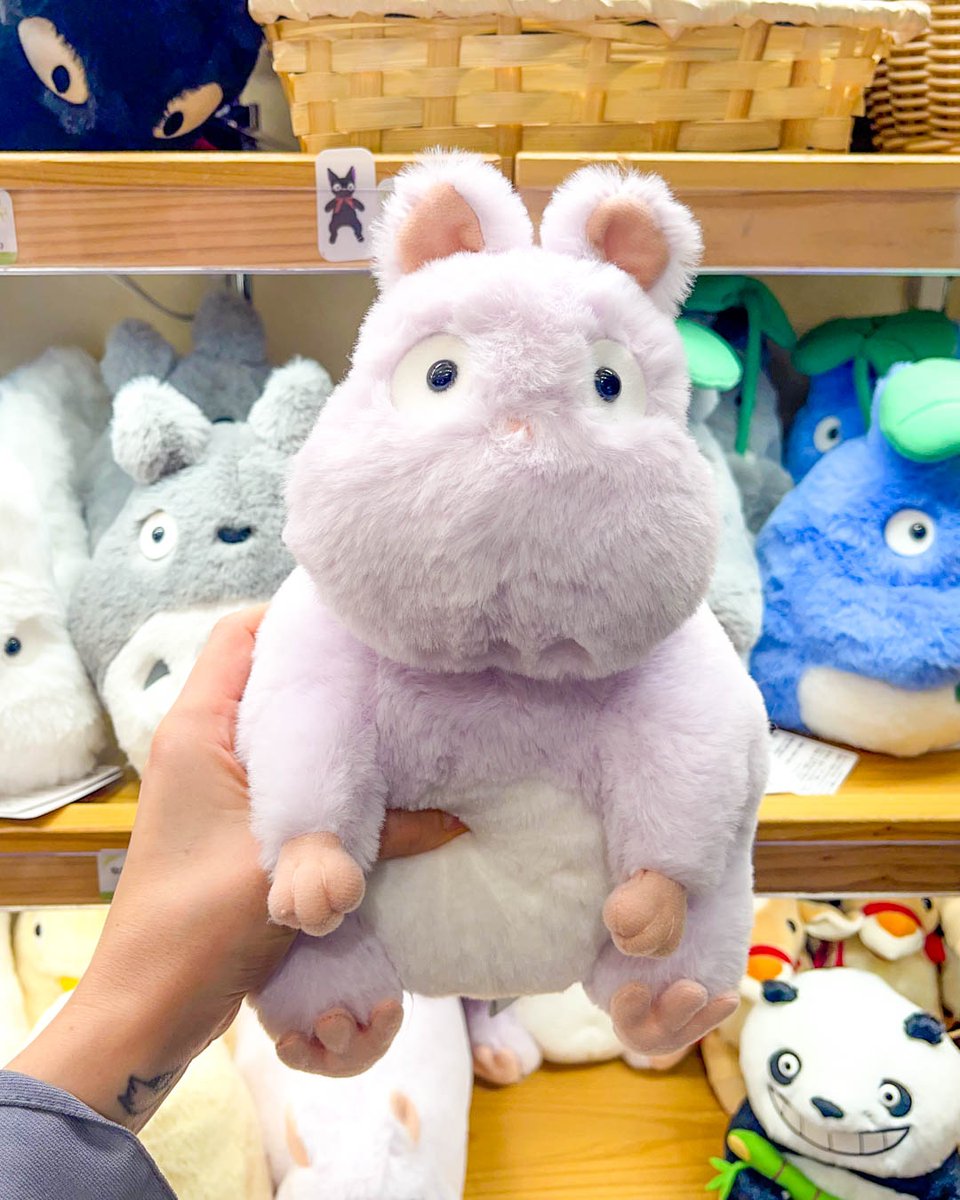 🌱🌧 Besides Totoro, do you have other fave characters from Studio Ghibli? ✨🥰️ #ghibli #studioghibli #hayaomiyazaki #ghibliplushies #studioghiblistore