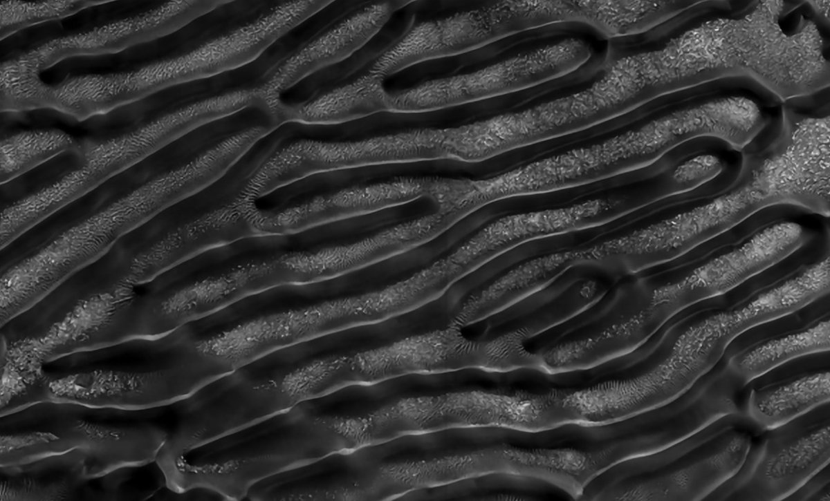 Alexandre Dizeux tweet media