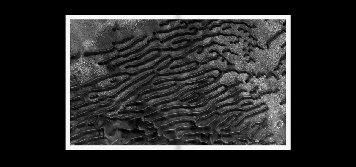 Alexandre Dizeux tweet media