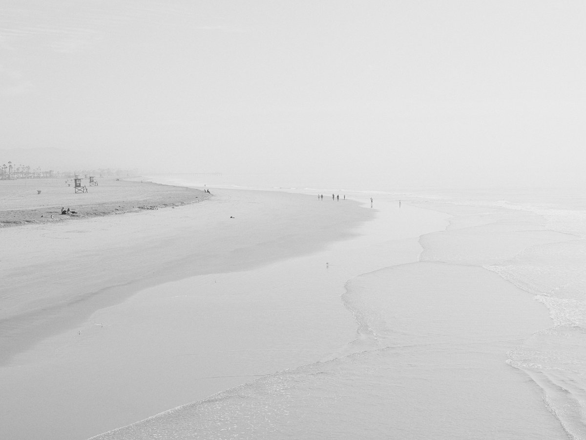 In the depths of winter, a new path arose.