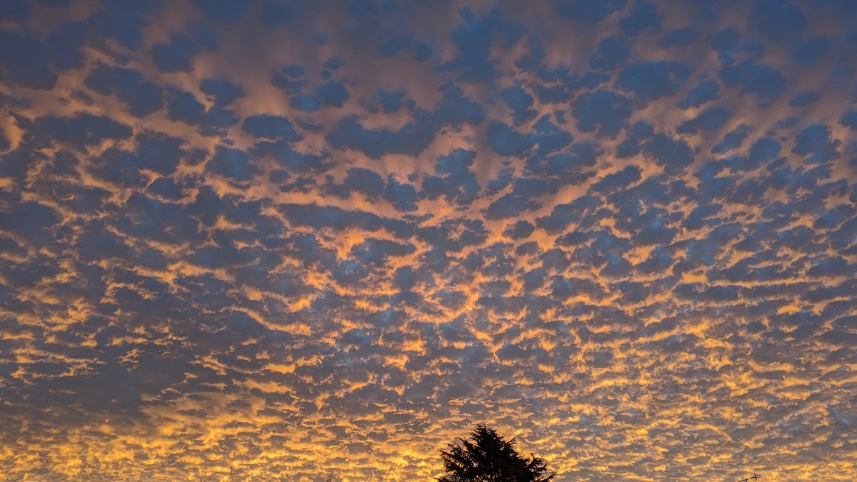 Pete Thomond tweet media