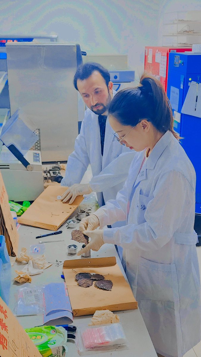 IjlalHaidar5's tweet image. Samples preparation for elemental analyzer.
#Indoor_experiments 
#SSRG