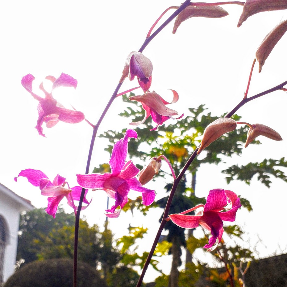decobox's tweet photo. Good afternoon ~ ^o ^ https://t.co/TvjkBIOY41