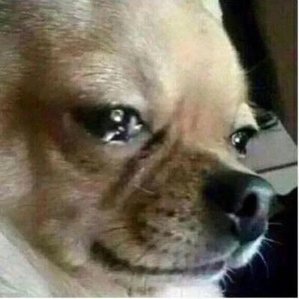 อันโดรเมด้า ชุน (@chenrcj) on Twitter photo 