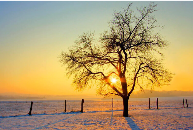 Aslanım.GS tweet media