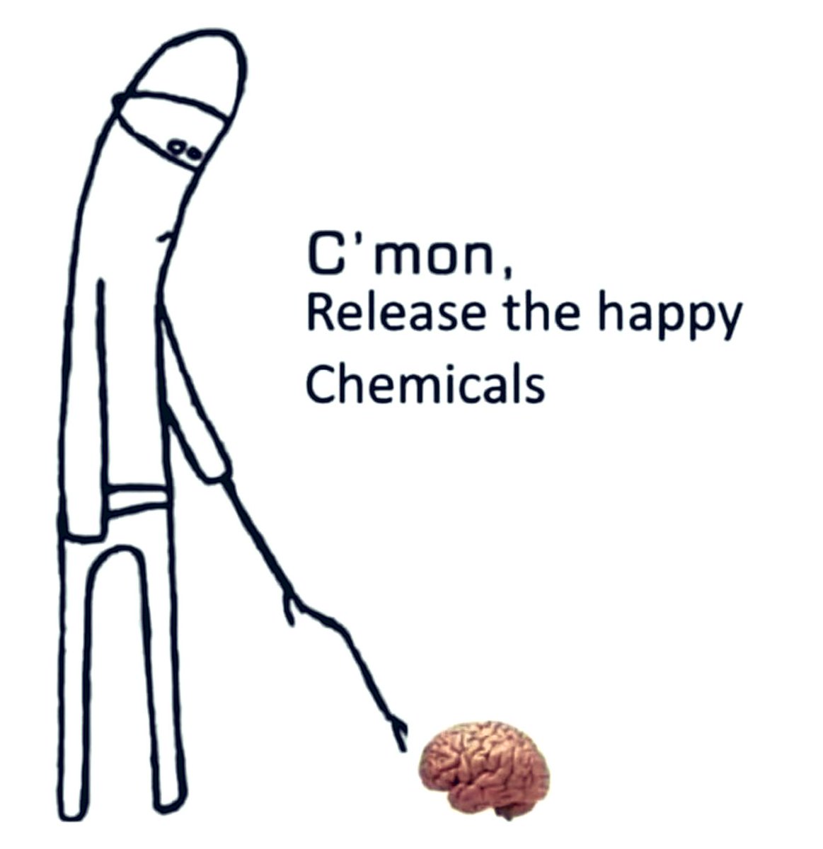 introvertsmemes's tweet photo. https://t.co/tP1hcM6MMj