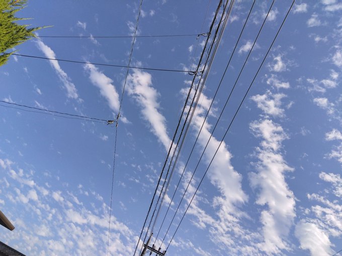 「cloudy sky utility pole」 illustration images(Latest)｜2pages