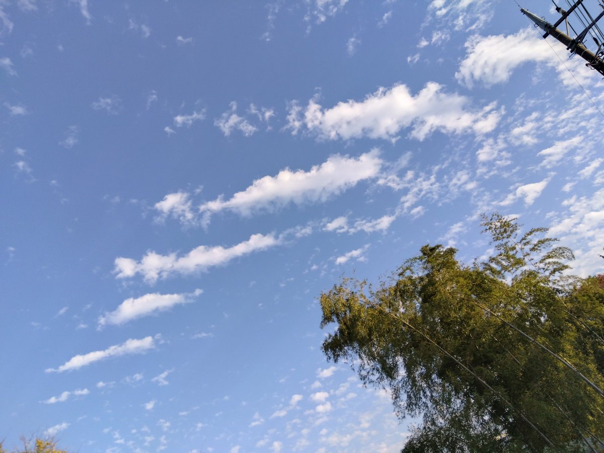 消しゴム買って来たったわ!
続く!また来週!って感じの☁を見た。 