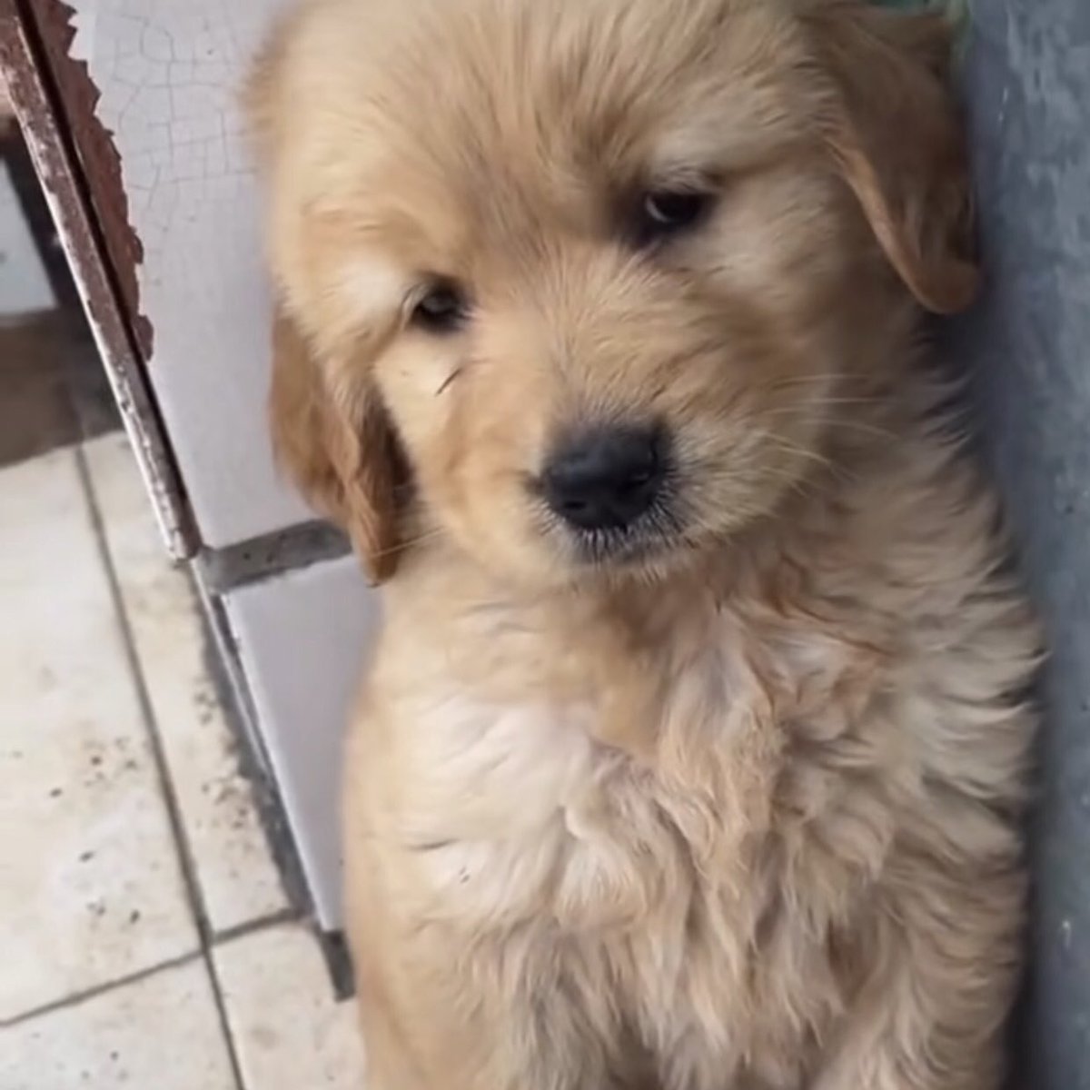 ก้ขอโทดแล้วไง ขอโทดได้ป่าว อย่าดุ