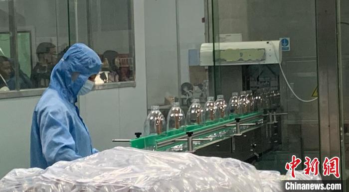 VoiceofPD's tweet image. Chongqing&apos;s Youyang cultivates thriving oil-tea camellia industry to boost rural revitalization
#Chongqing #revitalization
Read full: en.people.cn/n3/2023/1123/c…