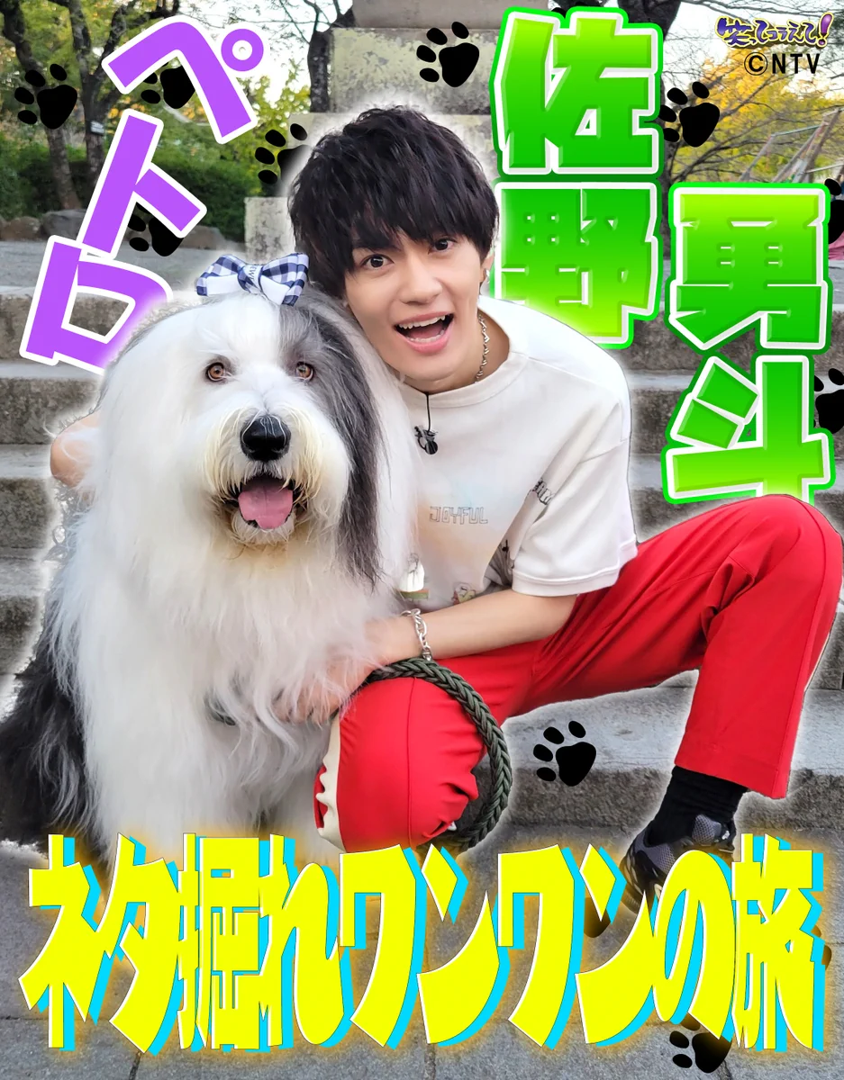 笑ってコラえて！【公式】🗻🦅🍆✨ on X: 