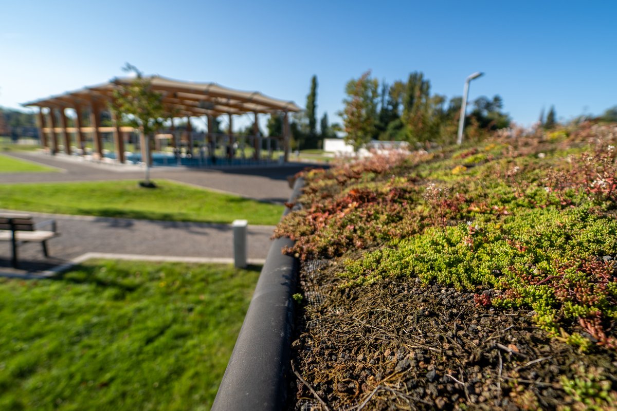 EGLVde's tweet photo. Wie hängen Gesundheit und Stadtplanung zusammen? In der neuen Folge der Podcast-Reihe Urban Health der @hsgesundheit geht es um #Klimaanpassung. Unsere Mitarbeiterin Carolin Borgmann von der Zukunftsinitiative #KlimaWerk ist dabei: https://t.co/COhh6gTqeI https://t.co/ovCo0qZsFX