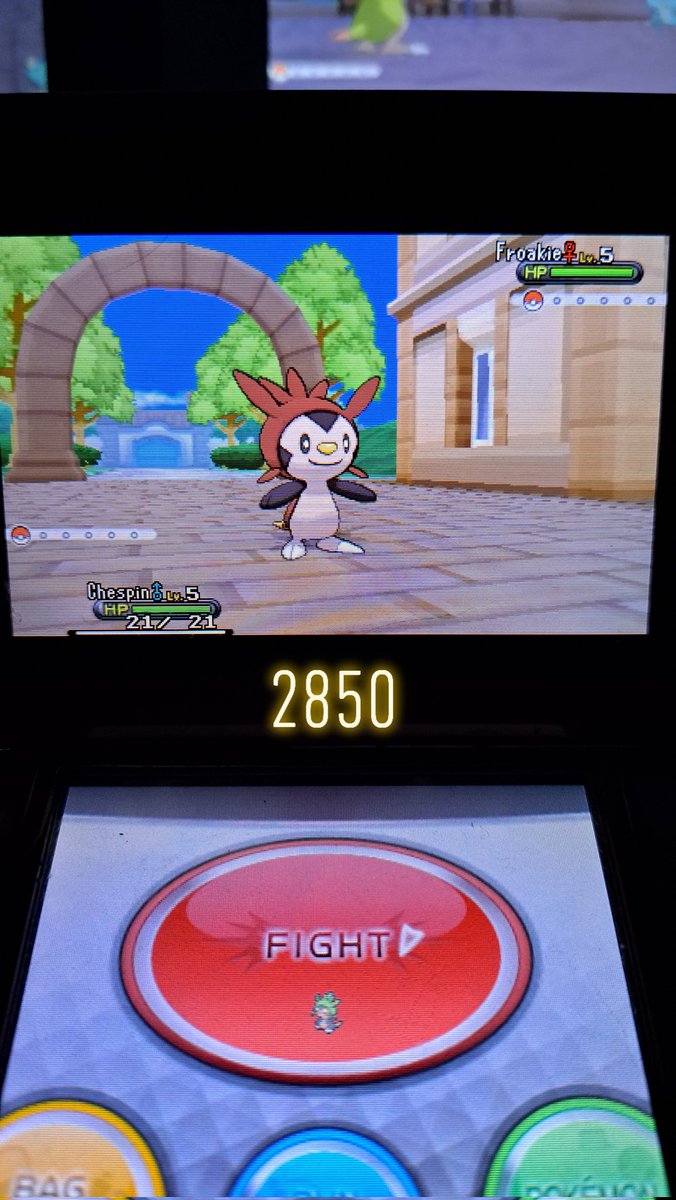 Shiny Chespin after 2,850 SR's on my JPN Y #2 - Badge Quest: 1/19
