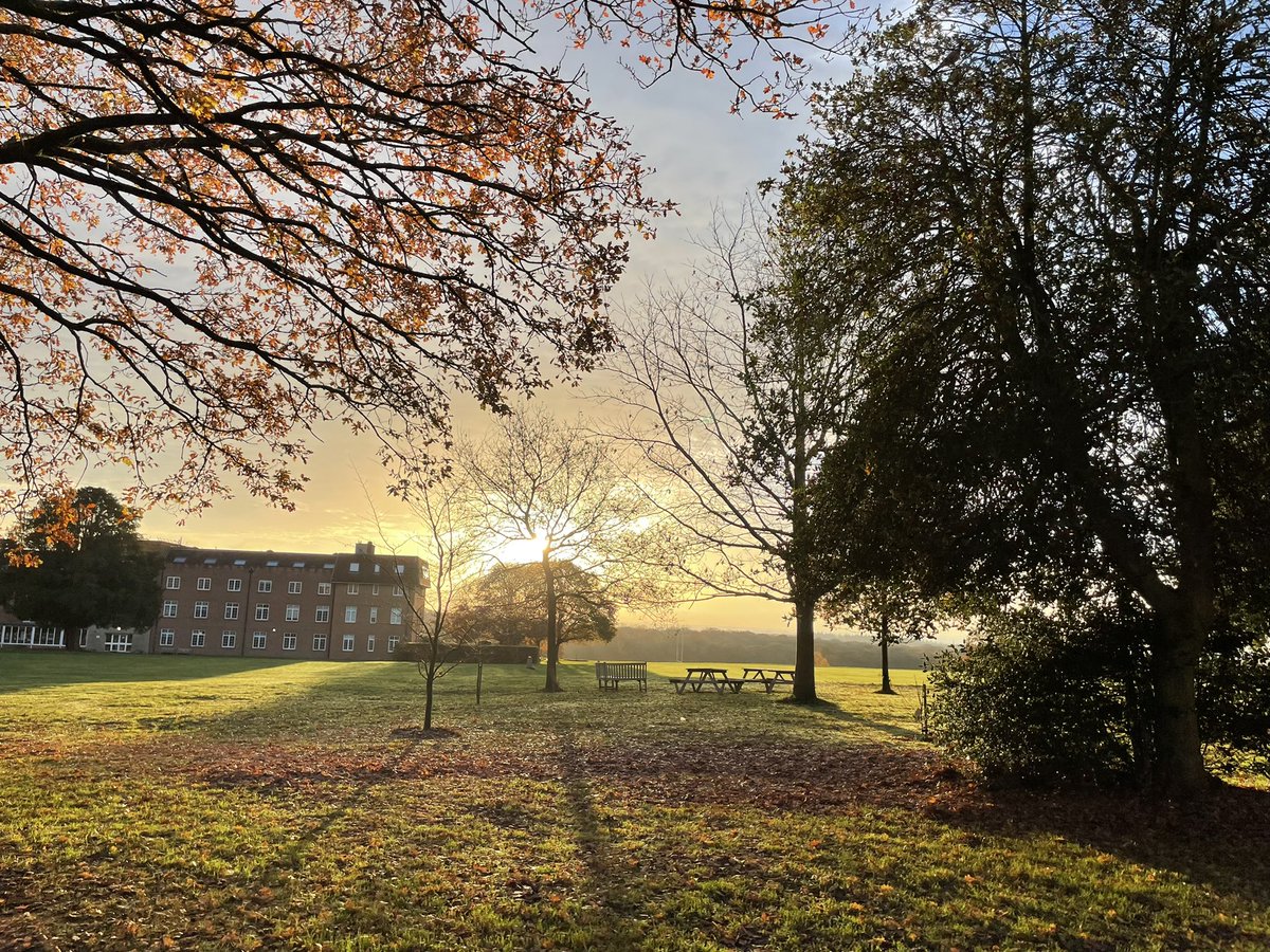 Director of Sport tweet media