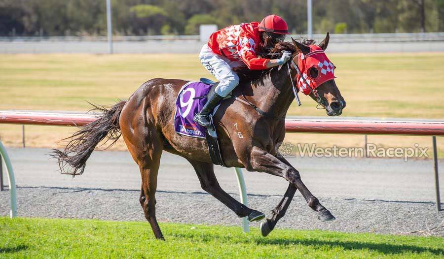 Western Racepix tweet media