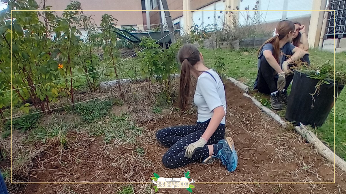 [#JeudisVerts]🌱
Jardin « Coup de Pousse » au collège de la <a href="/triouzoune/">Collège de la Triouzoune</a> à Neuvic(19).
Première récolte pour les élèves de 3ème :
🔹11kg de pommes de terre ;
🔹pommes, graines, noix, chou kale ;
🔹goûter fait maison avec courgettes, chocolat, pain d'épices et pastèques du jardin !