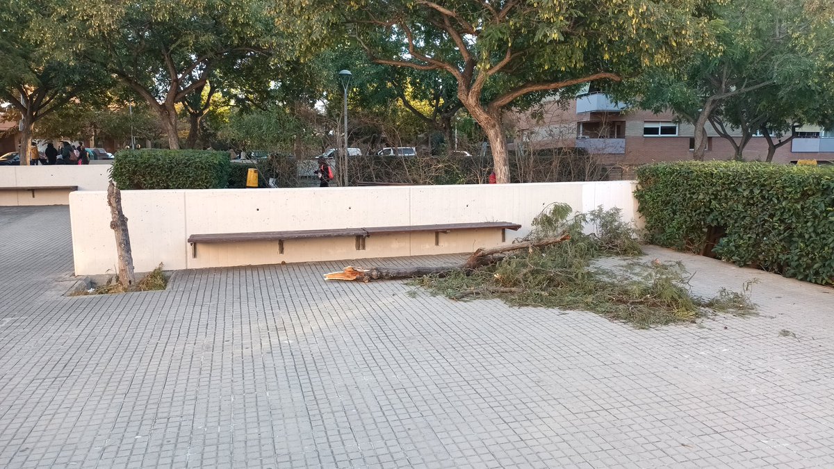 Parque Colegio Enric Tatche I Pol (árbol caido). 
<a href="/AjRipollet/">Ajuntament Ripollet</a> <a href="/LLmtirado/">Luis Tirado/♥️</a> <a href="/PSCRIPOLLET/">PSC Ripollet</a> <a href="/ERC_Ripollet/">Esquerra Republicana de Ripollet</a> <a href="/DecidimRipollet/">Decidim Ripollet</a> <a href="/ppripollet/">PP Ripollet</a> <a href="/RipolletSom/">Som Ripollet</a> <a href="/ampa_EnricTache/">Ampa Enric Tatche</a>