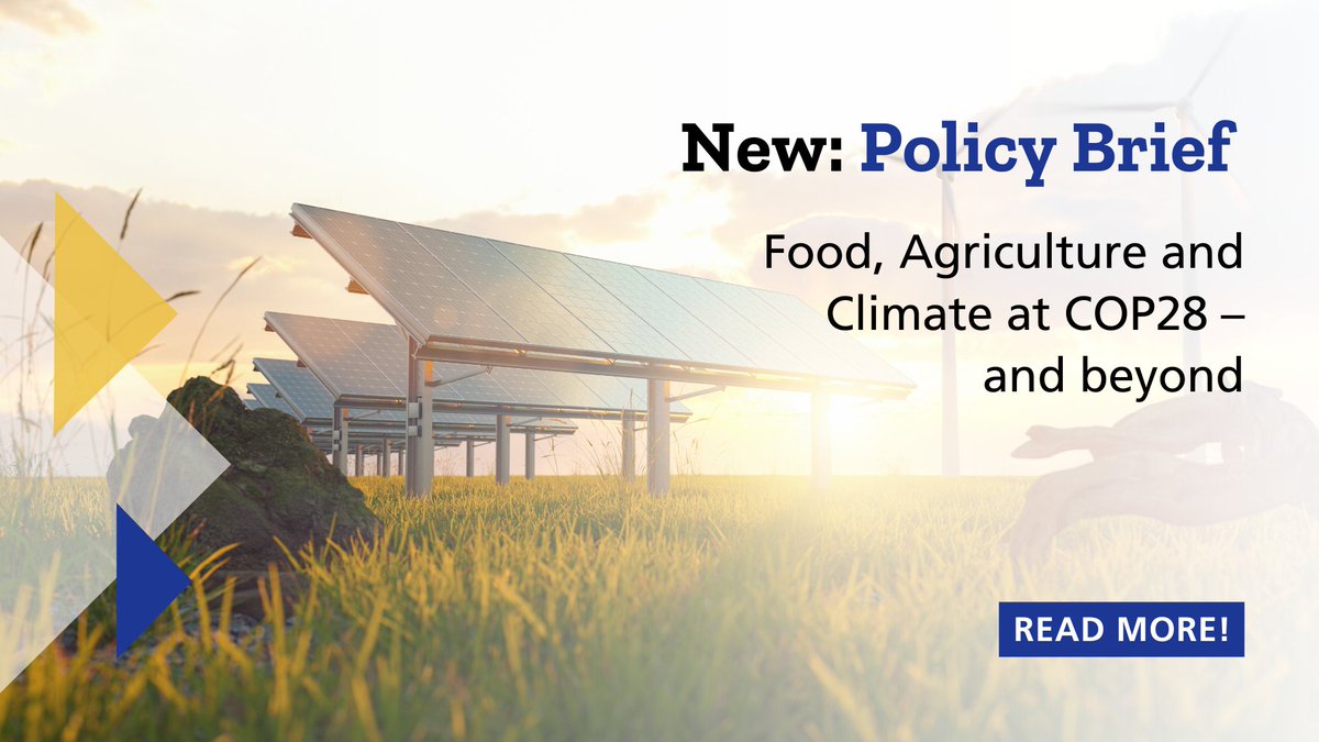 📢New Policy Brief: Food, agriculture &amp; climate at #COP28

The UAE Presidency continues to prioritise its #FoodSystems &amp; #Agriculture Agenda. This policy brief highlights priority areas in moving from political declarations to concrete action.
 
Read it👉ecologic.eu/19461
