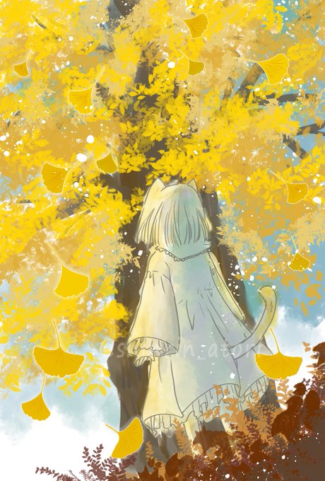 白猫さんと金色のイチョウ。  #白猫さん #365分の1