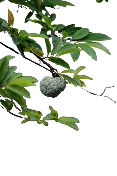 CardozoMico's tweet image. beautysalon7.com/2023/11/23/ben…