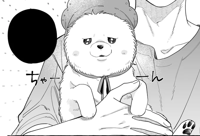 『正反対なわたしたち』最新話
明日19時頃更新予定です📢🐶 
