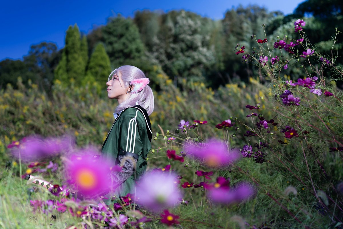 那智໒꒱⋆ﾟ tweet media