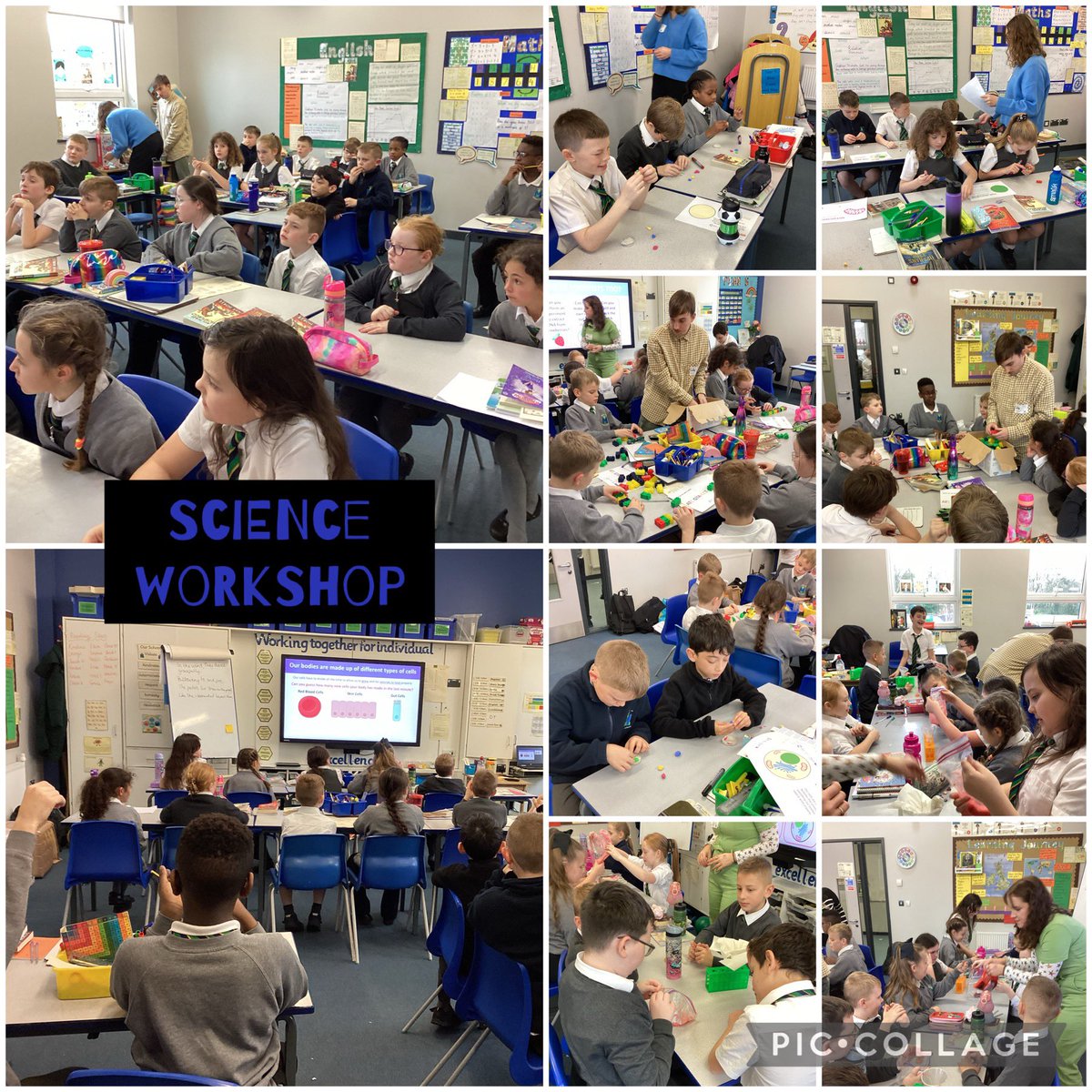 Miss Gray tweet media