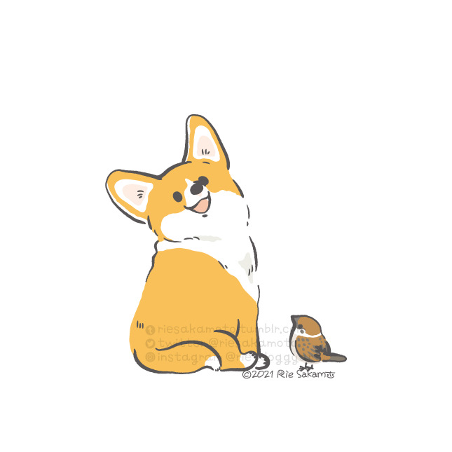 「いいえがおの日のニコニコ笑顔のコーギーと野鳥たち#いいえがおの日 」|サカモトリエ/イラストレーターのイラスト