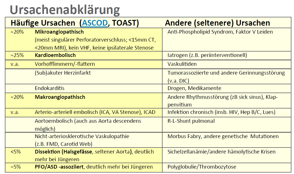 StrokeBern tweet picture