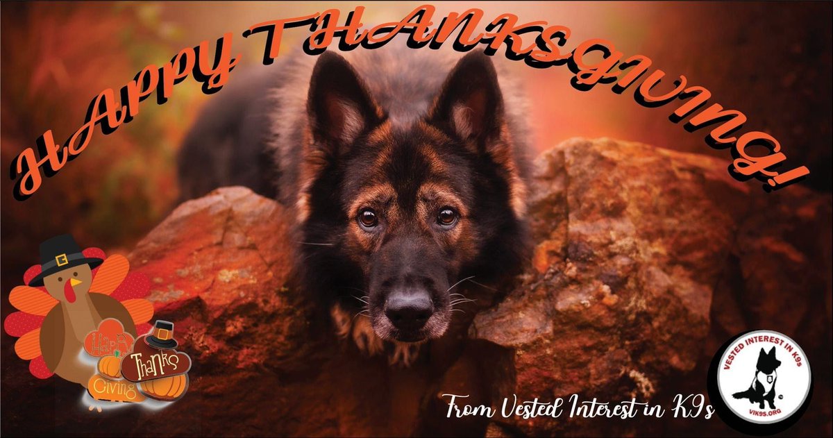 VIK9s's tweet image. Today we give thanks to all around us. For the #workingdogs working tirelessly to keep our #community safe, for the #K9handlers who put their lives at risk, for our #donors who help keep #VIK9s on their mission to protect these #dogs .

Thank YOU! Happy Thanksgiving!
 #vik9s