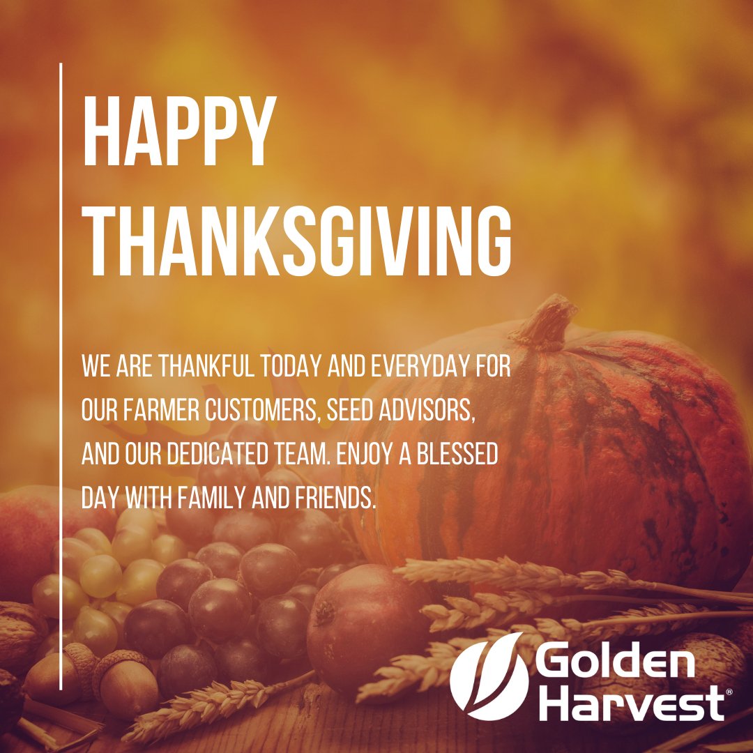 GldnHarvest's tweet image. Happy Thanksgiving! 🦃