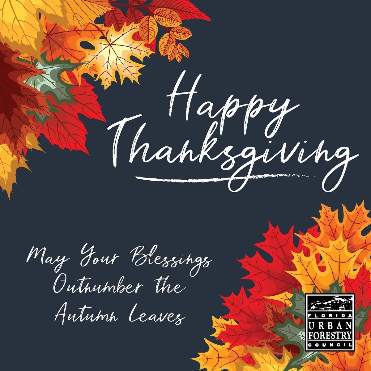 The Florida Urban Forestry Council wishes everyone a very Happy Thanksgiving! May your blessing outnumber the Autumn leaves (on & off your trees)!

#Thanksgiving #FloridaTrees #thankfulgratefulblessed #FloridaUrbanForestry