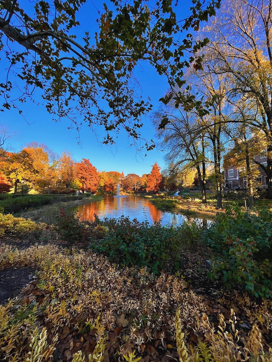 Ohio State tweet media