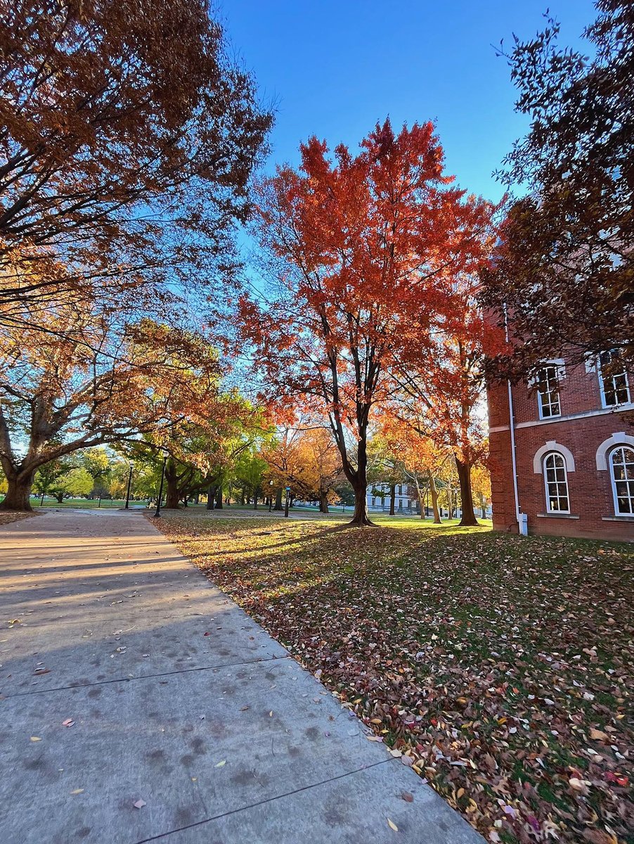 Ohio State tweet media