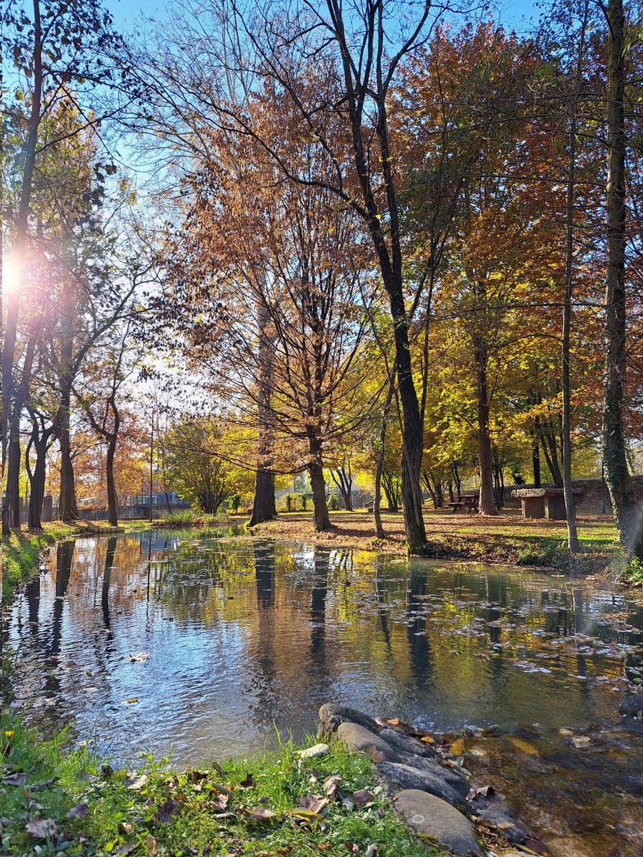 #autunno #brenta #bassanodelgrappa #veneto