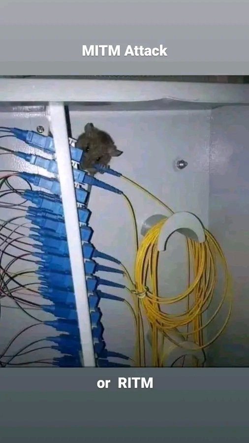 PJoyokusum74577's tweet image. Huh ...why?🥯🥯

#PythonForLife 
#Linux 
#AmanPalestin