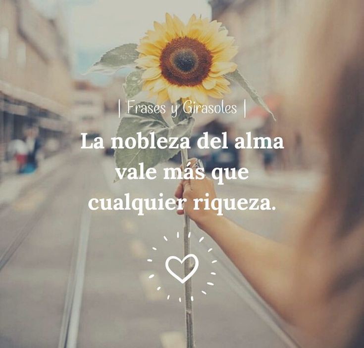 La nobleza del alma✨