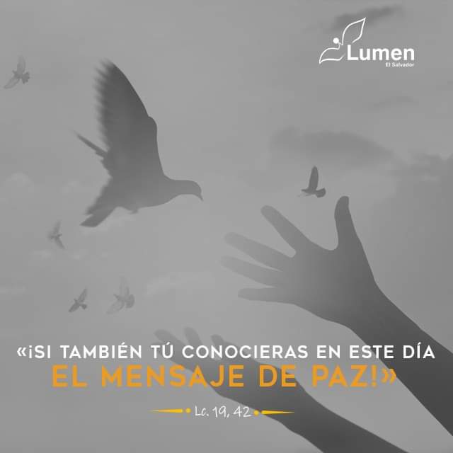 Francisco Esparza (@pachas14) on Twitter photo 🔴 ORDINARIO, MEMORIA
BEATO MIGUEL AGUSTIN PRO
"Si tú también conocieras en este día el mensaje que te trae la paz"
<a href="/LilianaSnchez9/">Liliana Sánchez 🇦🇷♌🦁</a> <a href="/poctavio65/">Octavio Martínez</a> <a href="/AgustnGonzlezO1/">Padre Agustín G.O</a> <a href="/Pdre_Rafa/">Padre Rafa</a> <a href="/jalisco52/">Unreal</a> <a href="/GutierrezMary17/">💕💙✨ɱαɾყbell✨💙💕</a> <a href="/irmaalvarez3210/">@IrmaAlvarez3210</a> <a href="/ggabins/">gabriela nuñez 🇻🇦</a> <a href="/Anagonz31239472/">🦋ƛNƛ⚘</a> <a href="/vickybullmann/">Virginia Bullmann ن</a> <a href="/MirnaKy/">Mirna Pineda Pérez</a> <a href="/pgnora/">Nora Piña Ghazzaoui</a> 🔴 ORDINARIO, MEMORIA
BEATO MIGUEL AGUSTIN PRO
"Si tú también conocieras en este día el mensaje que te trae la paz"
<a href="/LilianaSnchez9/">Liliana Sánchez 🇦🇷♌🦁</a> <a href="/poctavio65/">Octavio Martínez</a> <a href="/AgustnGonzlezO1/">Padre Agustín G.O</a> <a href="/Pdre_Rafa/">Padre Rafa</a> <a href="/jalisco52/">Unreal</a> <a href="/GutierrezMary17/">💕💙✨ɱαɾყbell✨💙💕</a> <a href="/irmaalvarez3210/">@IrmaAlvarez3210</a> <a href="/ggabins/">gabriela nuñez 🇻🇦</a> <a href="/Anagonz31239472/">🦋ƛNƛ⚘</a> <a href="/vickybullmann/">Virginia Bullmann ن</a> <a href="/MirnaKy/">Mirna Pineda Pérez</a> <a href="/pgnora/">Nora Piña Ghazzaoui</a>