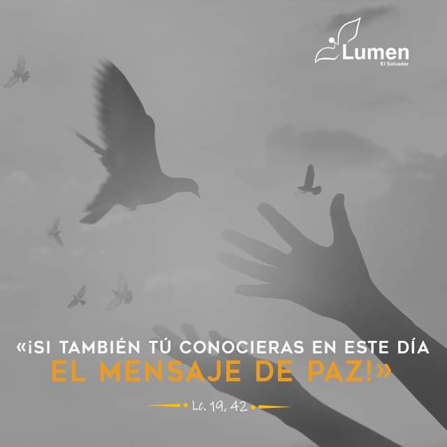 🔴 ORDINARIO, MEMORIA BEATO MIGUEL AGUSTIN PRO 'Si tú también conocieras en este día el mensaje que te trae la paz' @LilianaSnchez9 @poctavio65 @AgustnGonzlezO1 @Pdre_Rafa @jalisco52 @GutierrezMary17 @irmaalvarez3210 @ggabins @Anagonz31239472 @vickybullmann @MirnaKy @pgnora